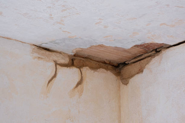 Best Local water damage restoration  in Rio Hondo, TX